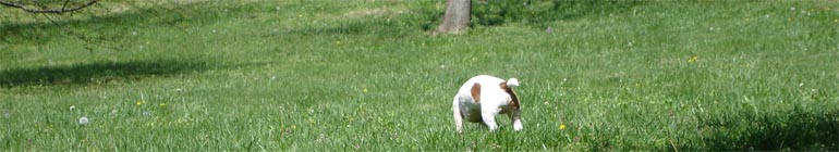 Live sex speak to black gays that are young header image 2